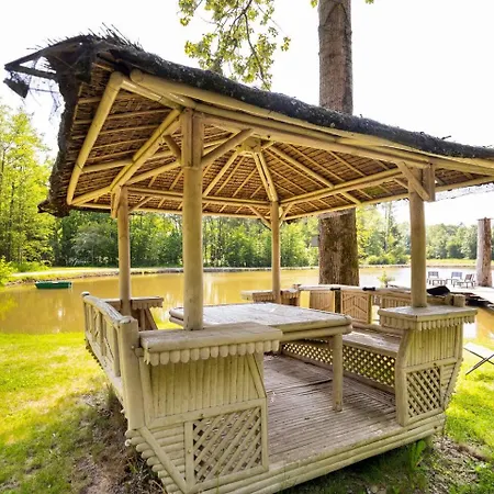 Tinyhouses - Domain 