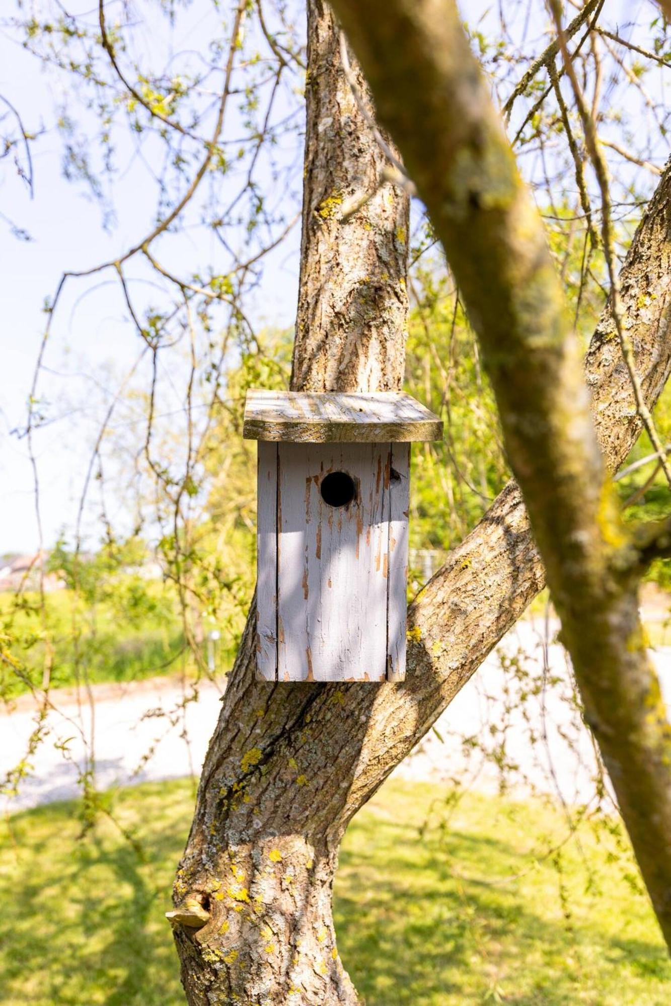 Tinyhouses - Domain 